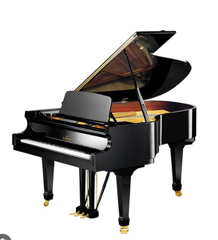 C. Bechstein A190