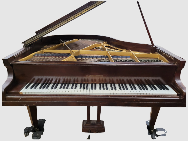C. Bechstein CB-S
